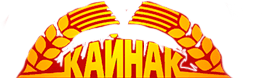 г.Пенза ООО "Кайнак"